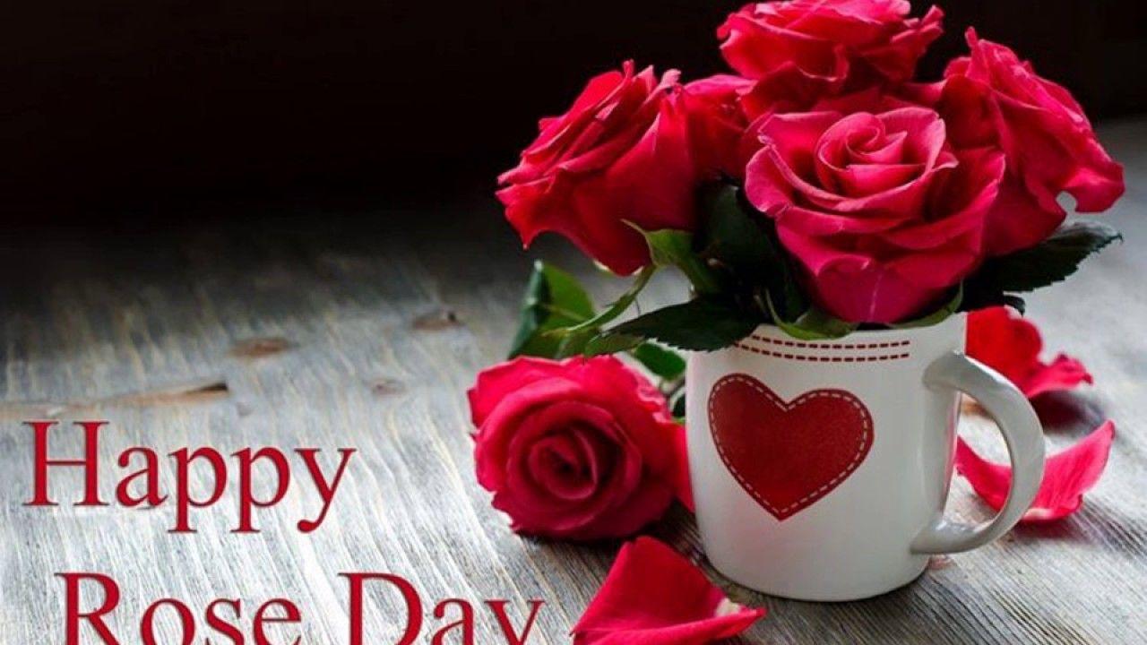 Rose Valentines Day Romantic High Definition Wallpaper 