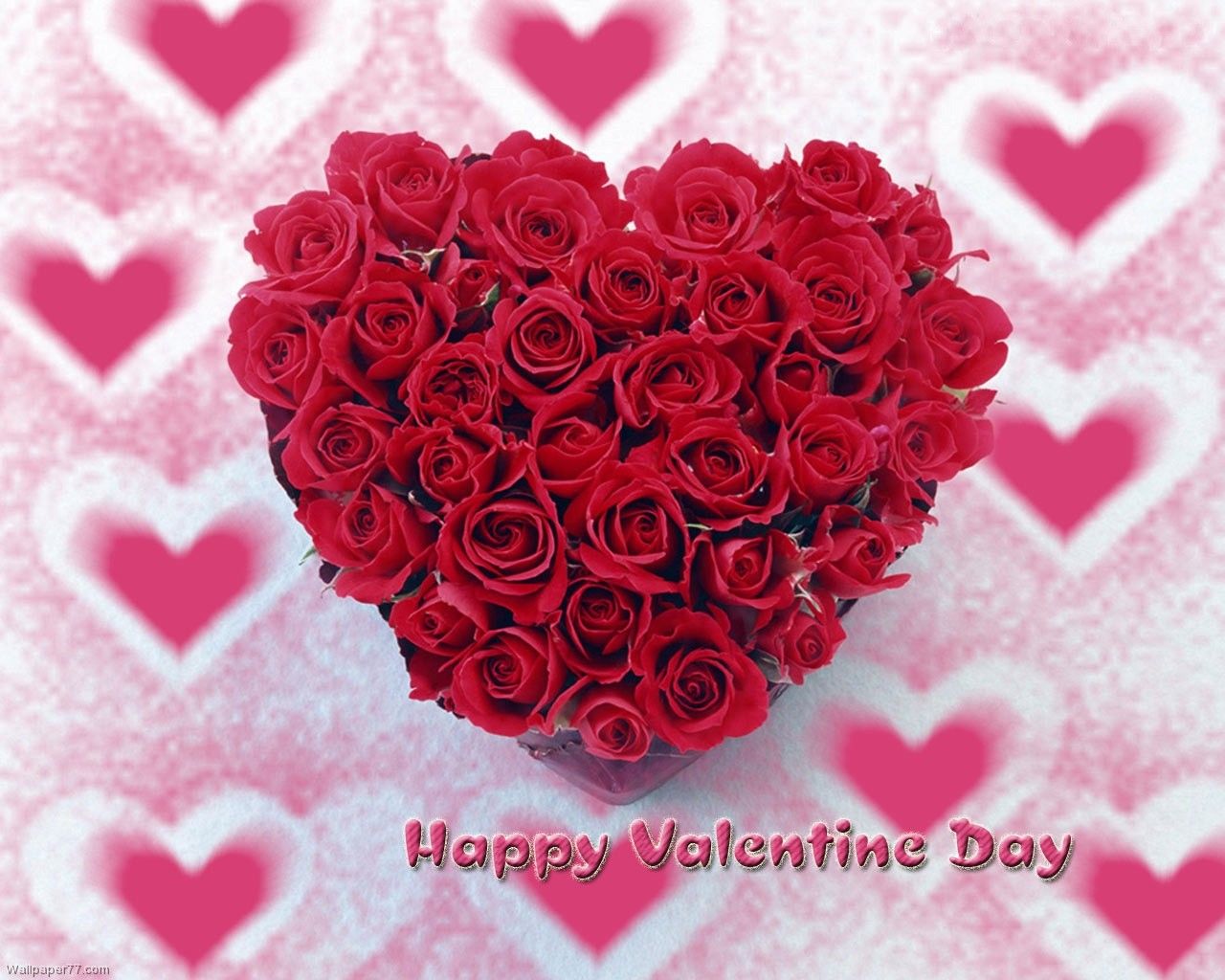 Rose Valentines Day Widescreen Wallpapers 