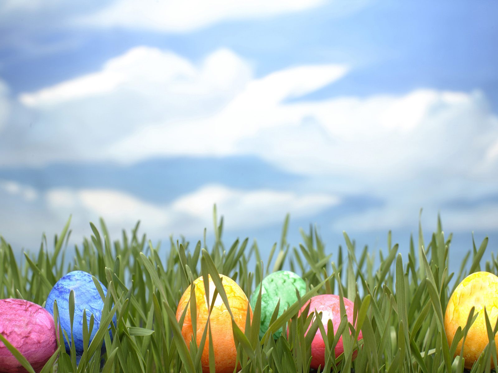 Spring Easter Egg Best HD Wallpaper 