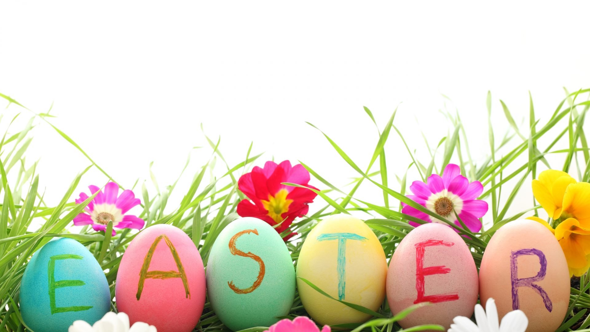 Spring Easter Egg Best Wallpaper 
