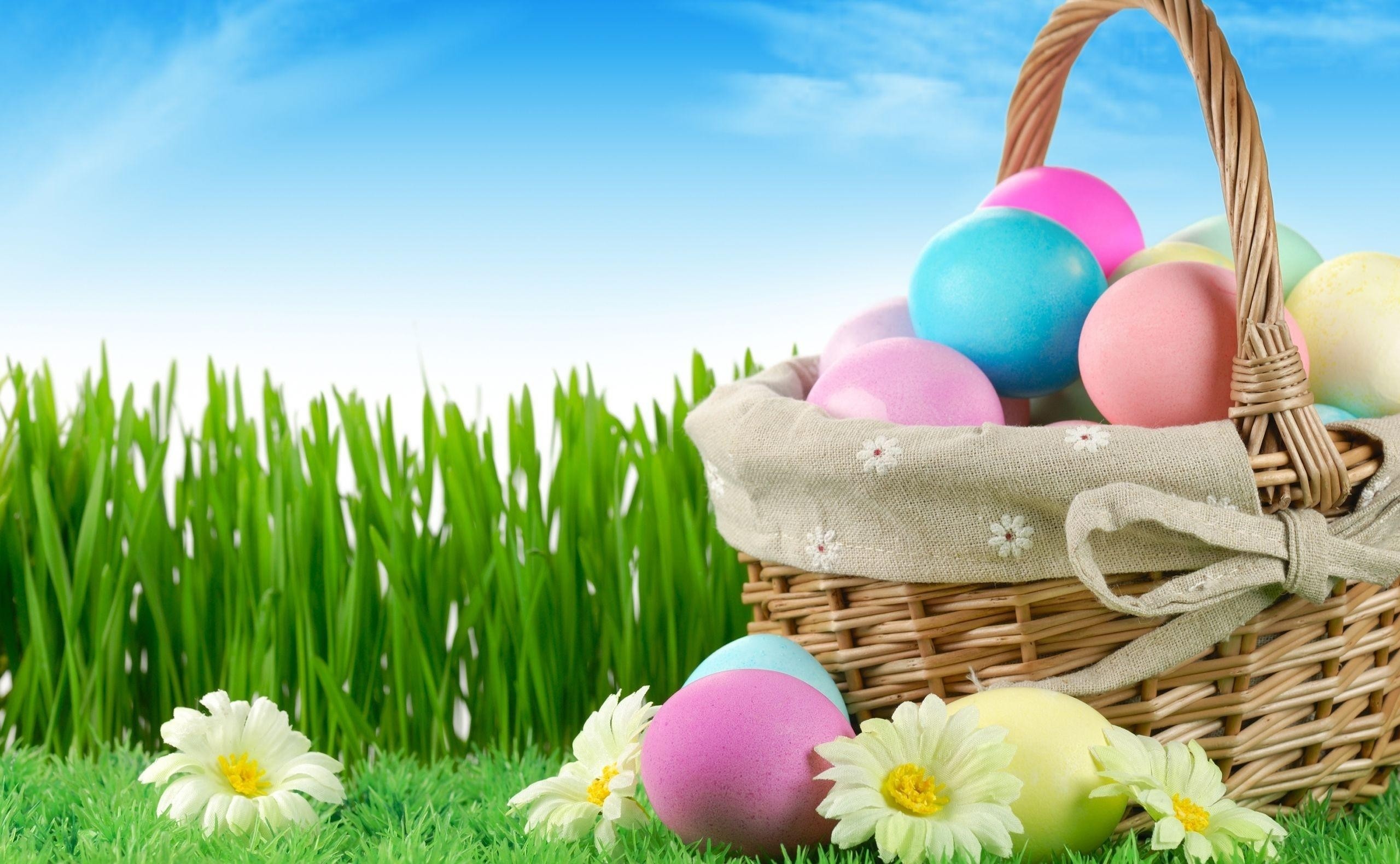 Spring Easter Egg Widescreen Wallpapers 