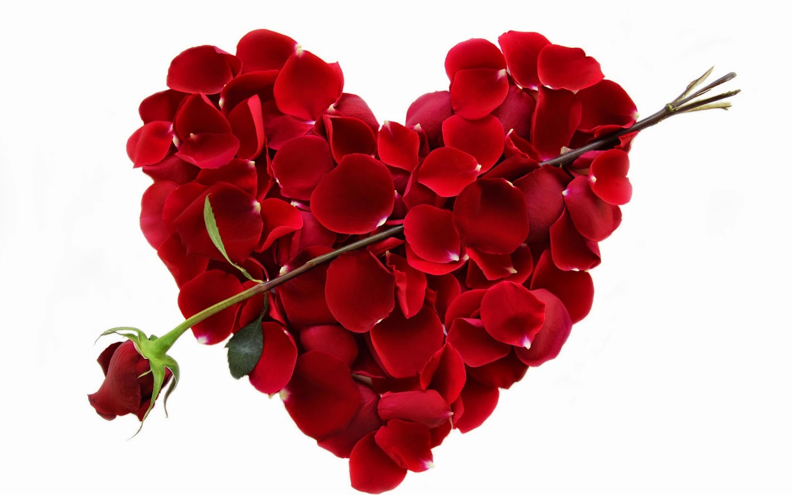 Valentines Day Heart Background Wallpaper 