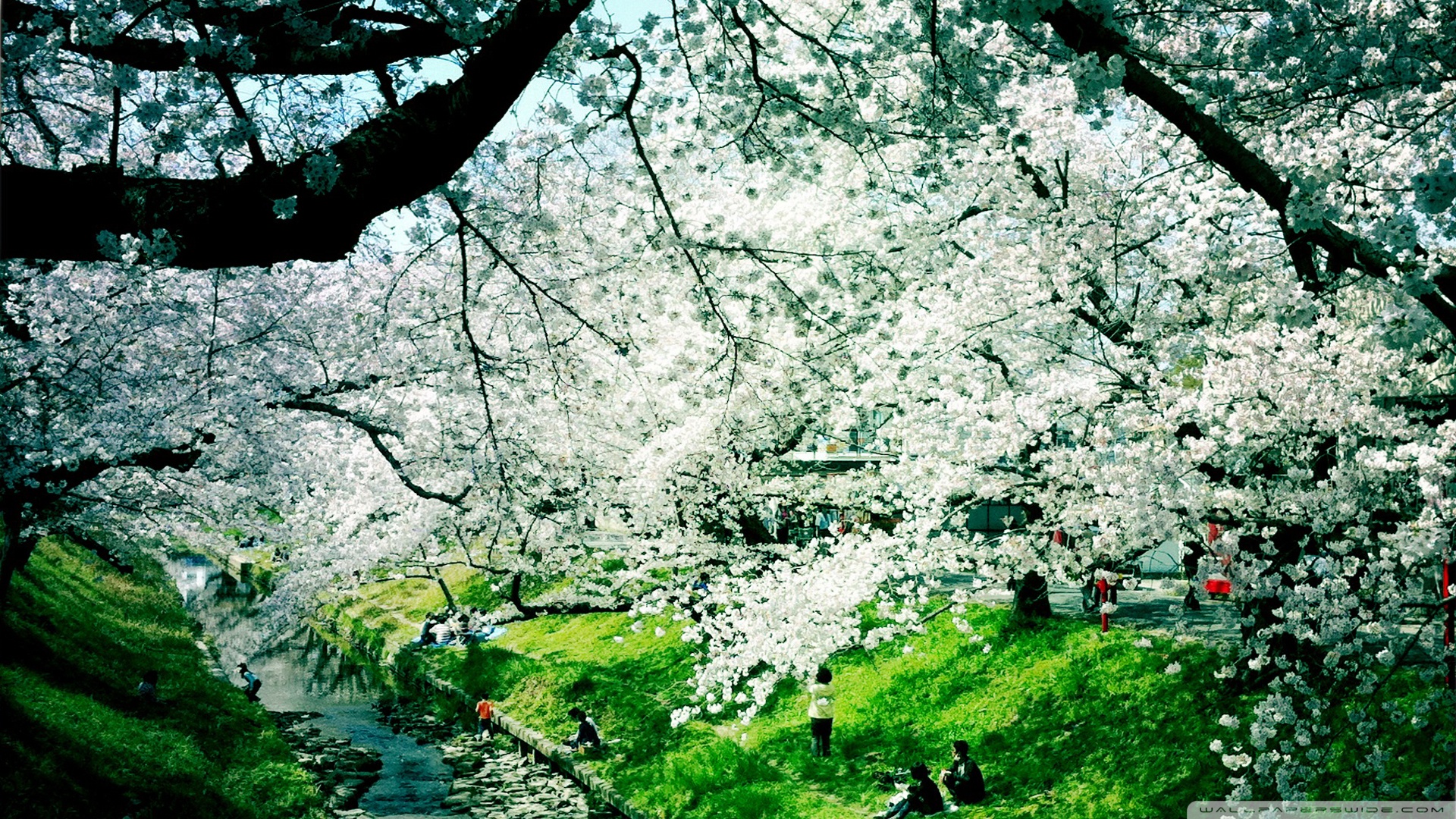 Aesthetic Spring Background HD Wallpapers 