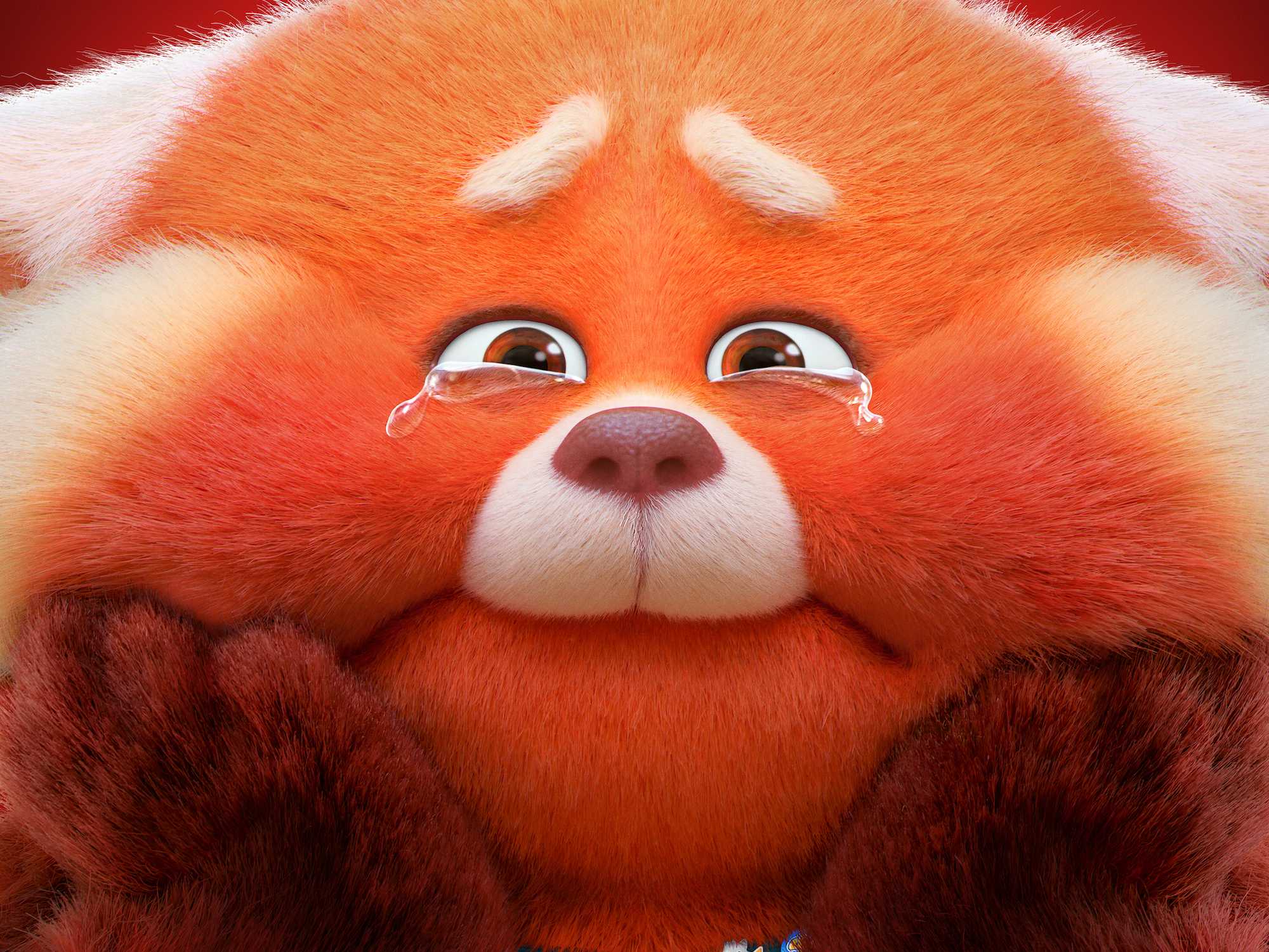 Pixars Turning Red HD Wallpaper 