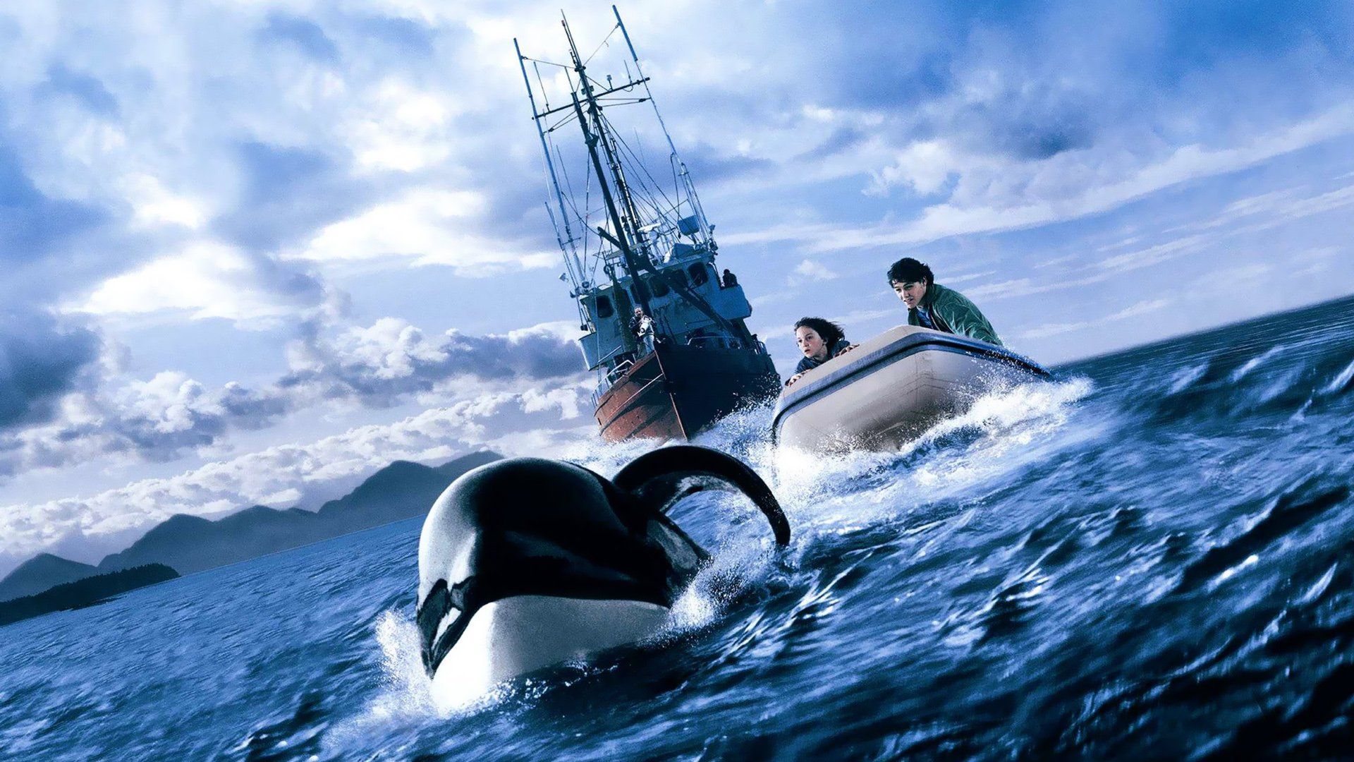 Sauvez Willy Free Willy Wallpaper 