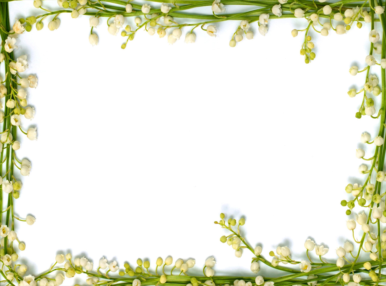 Floral Frame Background Wallpaper 
