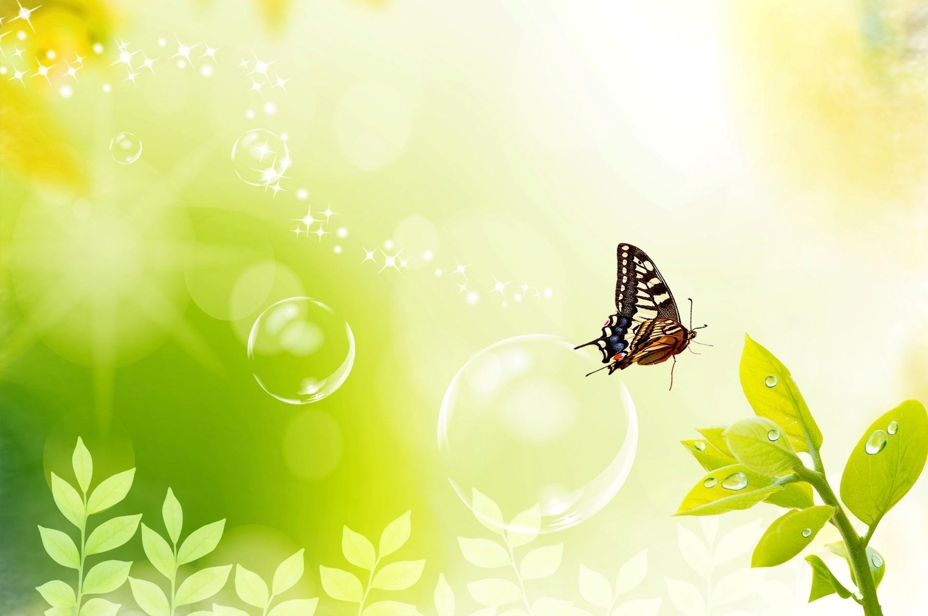 Butterfly Background HQ Desktop Wallpaper 