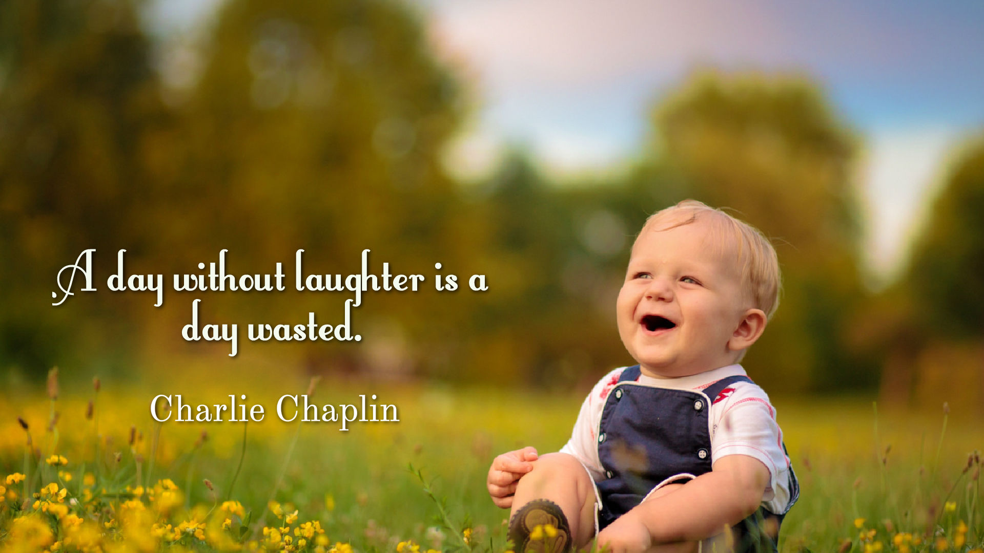 Humor Quotes Background Wallpaper 