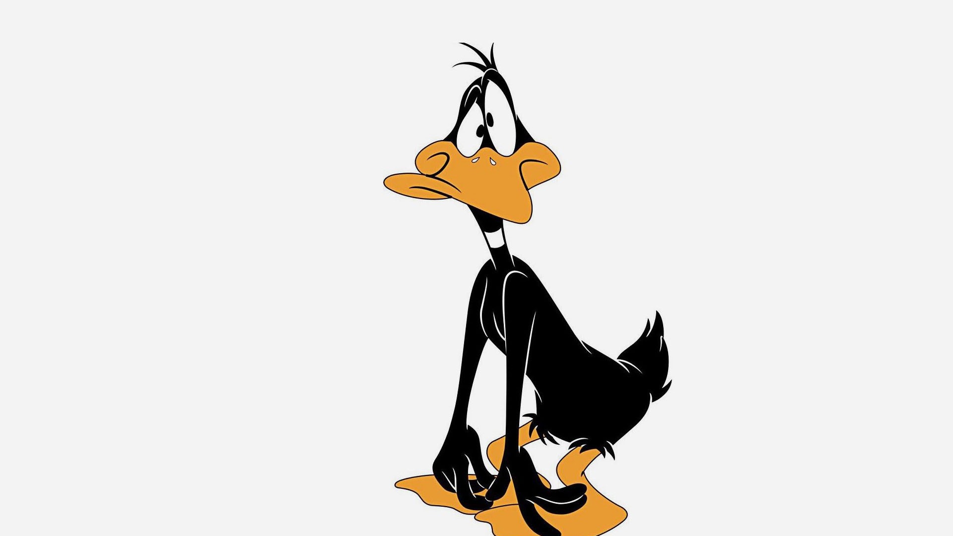Daffy Duck High Definition Wallpaper 