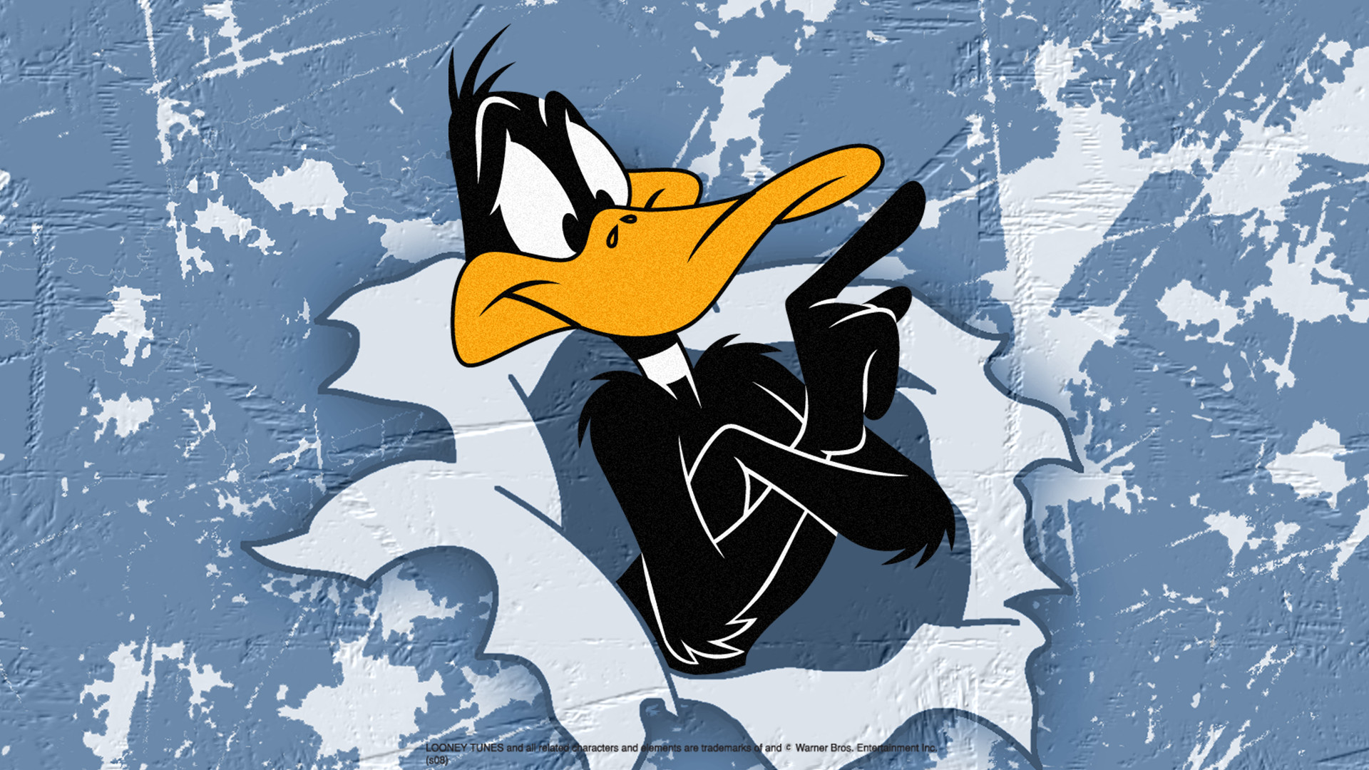 Daffy Duck HD Wallpaper 