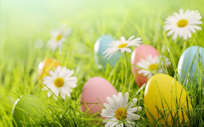 Spring Easter Egg HD Background Wallpaper 113579