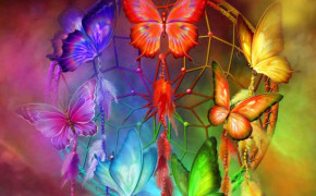 Rainbow Butterfly HD Wallpapers 09661