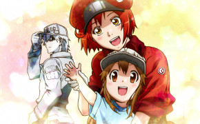 Cells At Work Background Wallpaper 103453