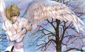 Angel Sanctuary Desktop Wallpaper 104890