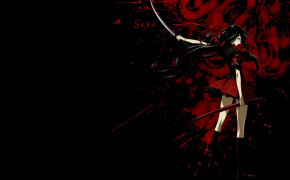 Anime Red And Black Manga Series Widescreen Wallpapers 106372