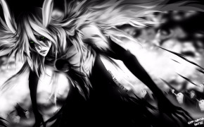 Anime Black And White High Definition Wallpaper 105103