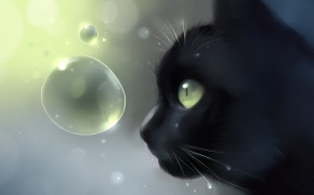 Black Cat Anime Widescreen Wallpapers 103137