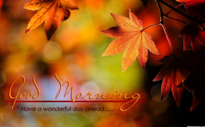 Have A Wonderful Day Quotes Wallpaper 10662