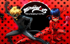 Miraculous Tales of Ladybug And Cat Noir High Definition Wallpaper 125123