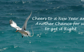 Happy New Year Another Chance Quotes Wallpaper 10654