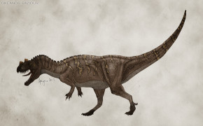 Ceratosaurus Dinosaur Best Wallpaper 124981