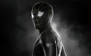 Spider-Man No Way Home Mask Desktop Wallpaper 125837