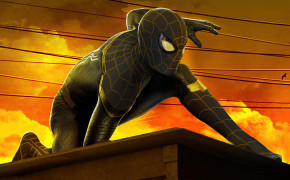 Spider-Man No Way Home Movie High Definition Wallpaper 125856