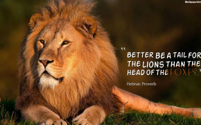 Leadership Lion Quotes Wallpaper 10718