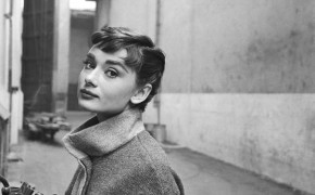 Audrey Hepburn Cute Best Wallpaper 100772