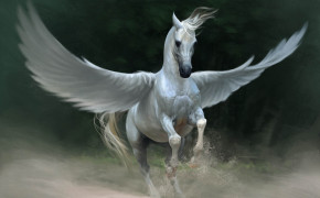 Pegasus Dark HD Desktop Wallpaper 112559