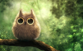 Fantasy Owl Cool Best Wallpaper 111732