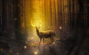 Fantasy Deer Cool Best HD Wallpaper 111292