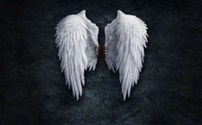 Angel Dark Background Wallpaper 110554