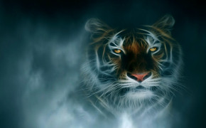 Fantasy Tiger Dark Background Wallpaper 111971