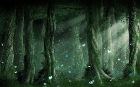 Fantasy Forest HD Wallpaper 111352