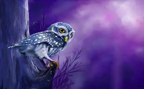 Fantasy Owl HD Wallpapers 111726