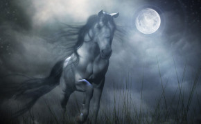 Fantasy Horse Cool Widescreen Wallpapers 111435