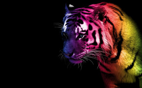 Fantasy Tiger Dark HD Desktop Wallpaper 111974