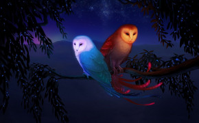 Fantasy Owl Dark Widescreen Wallpapers 111744