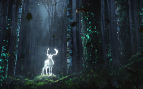 Fantasy Forest Dark Desktop Wallpaper 111366