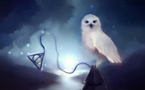 Fantasy Owl Cool Desktop Wallpaper 111733