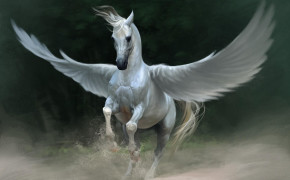 Pegasus Wallpaper HD 112544
