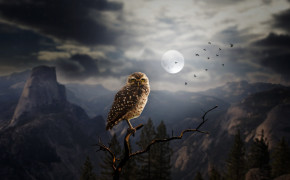 Fantasy Owl Dark High Definition Wallpaper 111742