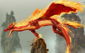 Fire Dragon Cool Best Wallpaper 112179