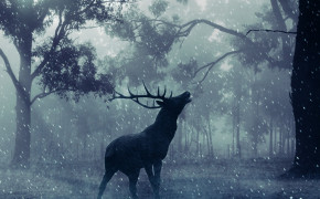 Fantasy Deer Cool Desktop Wallpaper 111294