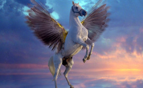 Pegasus Cool High Definition Wallpaper 112553