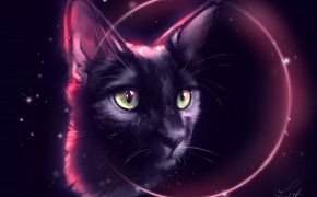 Fantasy Cat Dark HD Desktop Wallpaper 111184