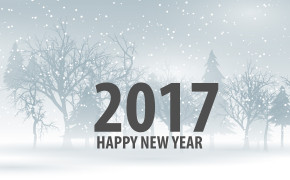 2017 New Year HD Wallpaper 11179