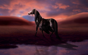 Fantasy Horse Cool Background Wallpaper 111429