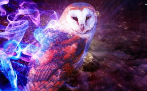 Fantasy Owl Cool High Definition Wallpaper 111735